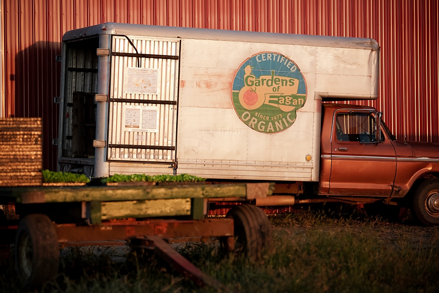 JCP Wedge Community Coop